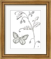 Framed 'Outdoor Beauties Butterfly II' border=