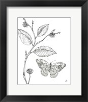 Framed Outdoor Beauties Butterfly I