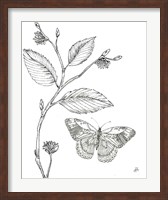 Framed Outdoor Beauties Butterfly I