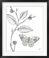Framed Outdoor Beauties Butterfly I
