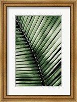 Framed Palm Frond I Green