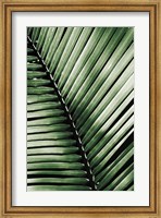 Framed Palm Frond I Green
