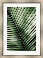 Framed Palm Frond I Green