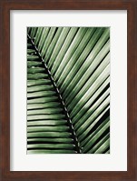 Framed Palm Frond I Green