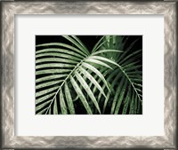 Framed Palm Fronds Green