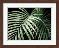 Framed Palm Fronds Green