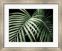 Framed Palm Fronds Green