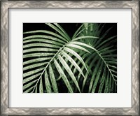 Framed Palm Fronds Green