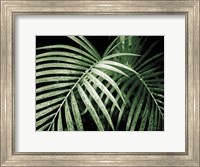 Framed Palm Fronds Green
