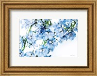 Framed Freshly Picked Delphinium II