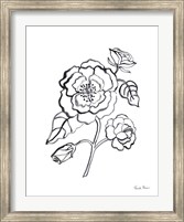 Framed Joyful Peonies IV