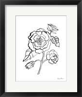 Joyful Peonies IV Framed Print