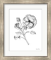 Framed Joyful Peonies III