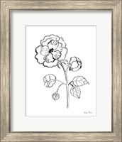 Framed Joyful Peonies II