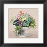 Framed 'Festive Succulents II Blush' border=