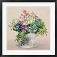 Framed Festive Succulents II Blush