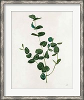 Framed Botanical Study II Greenery