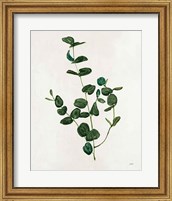 Framed Botanical Study II Greenery