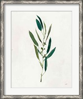 Framed Botanical Study I Greenery