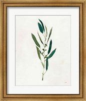 Framed Botanical Study I Greenery