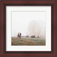 Framed Misty Pasture