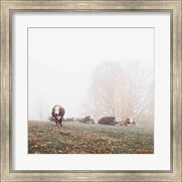 Framed Misty Pasture