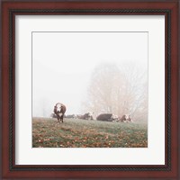 Framed Misty Pasture