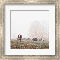 Framed Misty Pasture