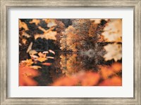 Framed Autumn Reflections