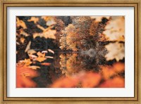 Framed Autumn Reflections