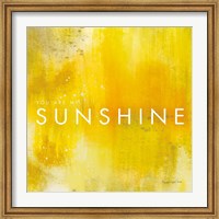 Framed Sunshine
