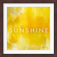 Framed Sunshine