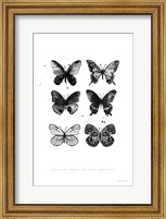 Framed Six Inky Butterflies