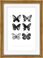 Framed Six Inky Butterflies