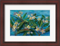 Framed Oceanside Plumeria