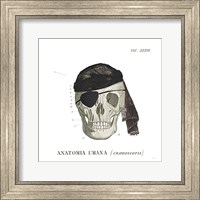 Framed Dandy Bones VI Pirate