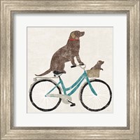 Framed Lab Ride