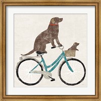 Framed Lab Ride