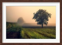 Framed Morning Mist