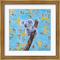 Framed Koala