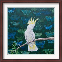 Framed Yellow Crested