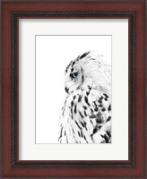 Framed White Owl