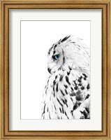 Framed White Owl