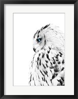 Framed White Owl