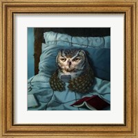 Framed Night Owl