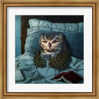 Framed Night Owl