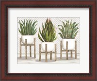 Framed Succulent Trio on Stands