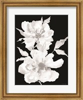 Framed Black & White Flowers I