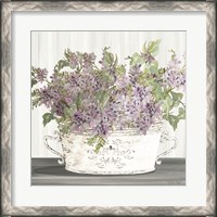 Framed Lilac Galvanized Pot