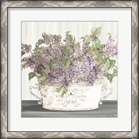 Framed Lilac Galvanized Pot